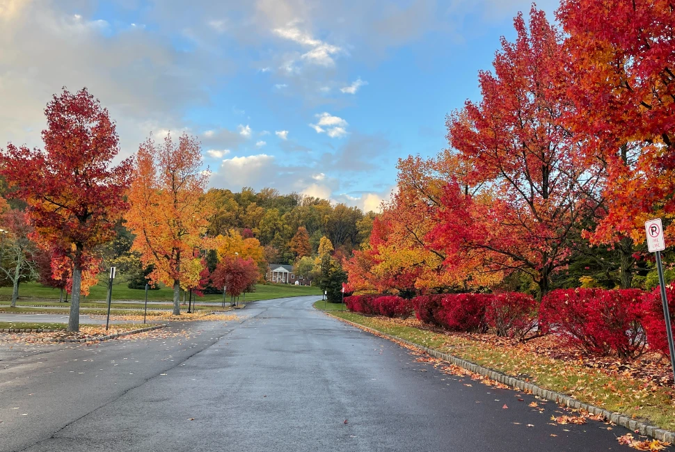 Exploring the Enchanting Morristown, TN: Unveiling Its Allure and Weather