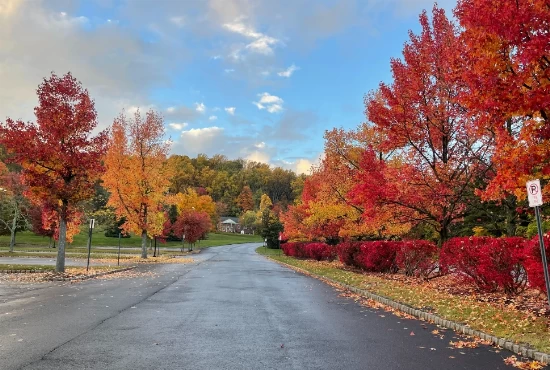 Exploring the Enchanting Morristown, TN: Unveiling Its Allure and Weather